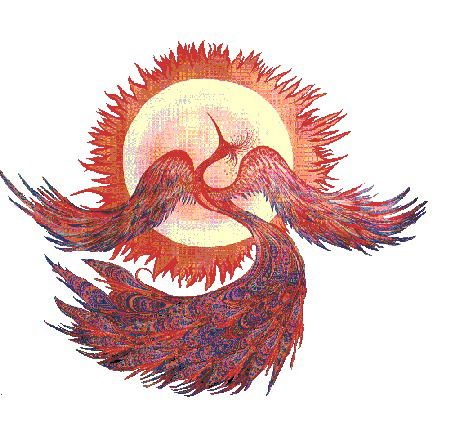 Светлана Нижегородова