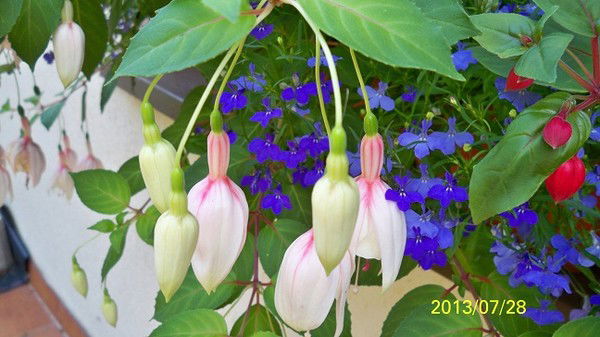 Юрий Андриянов