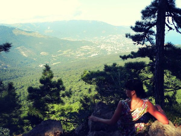 Лиса Лисичка