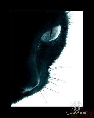 Елена Ляшкова