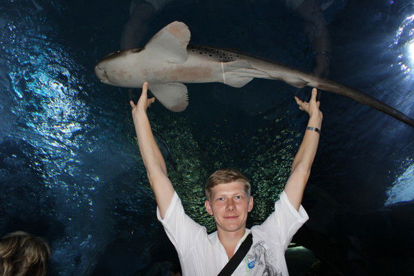 Жеребцов Сергей