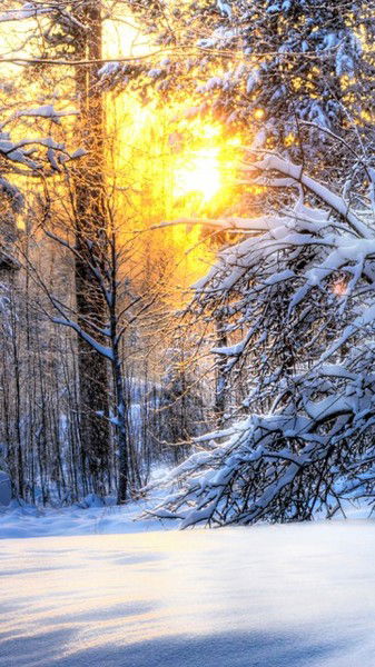 Kognitivniy Disonans