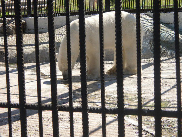 Эдуард Петров