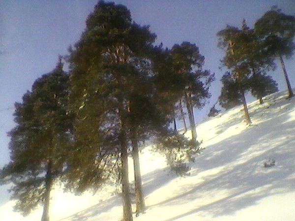 Татьяна Хардина