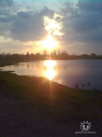 Олег Юлия Шульга