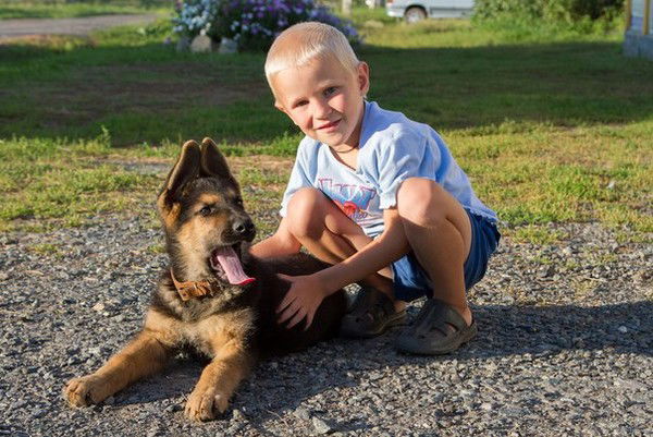 Пётр Богданенко