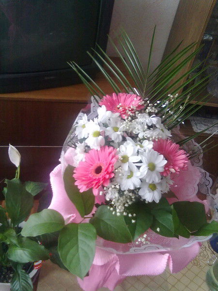 Наталия Баталова