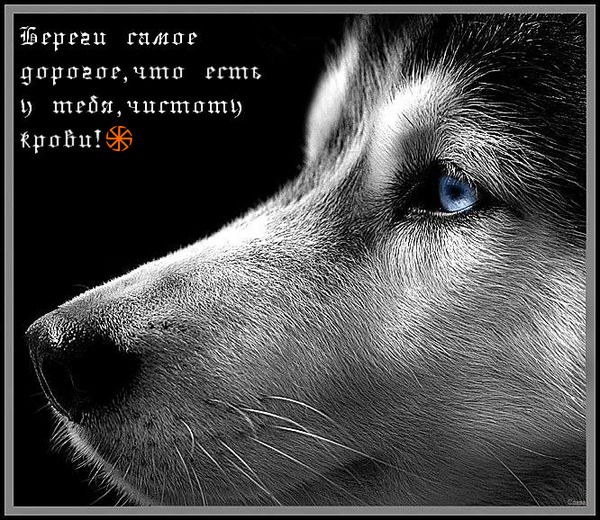 Сергей Фёдоров