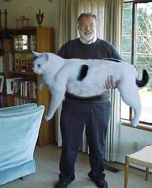 Александр Хаткевич