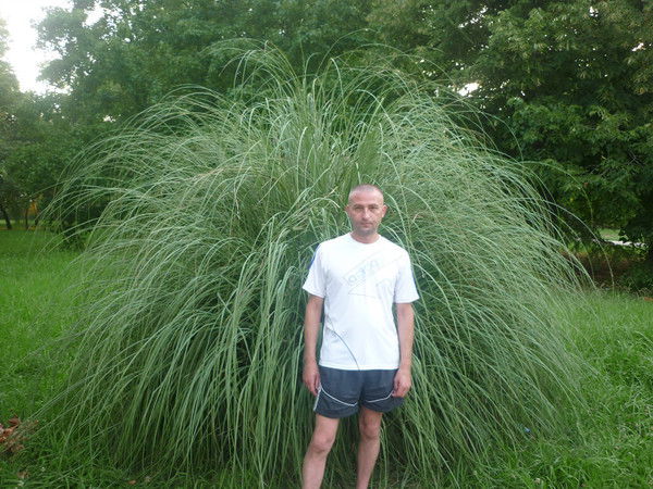 Александр Ничуговский