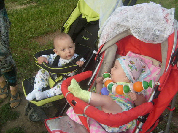 Елена Глушкова