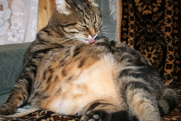 Марина Кузьминчук