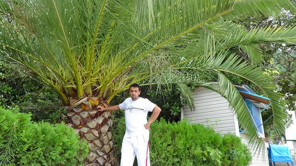 Неизвестно Неизвестно