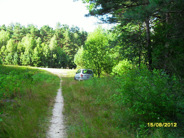 Олег Вашкевич