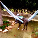 Vincenzo Ver