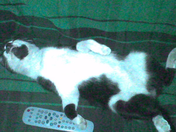 Владимир Куршин