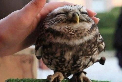 Эльмира Муратова