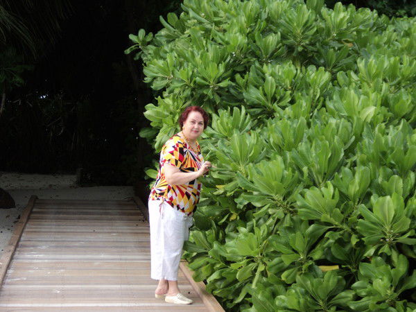 Людмила Донченко