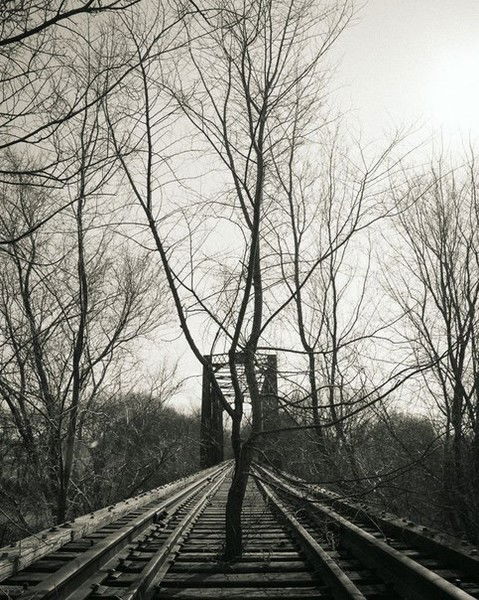 Николай Благодатский