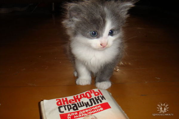 Лена Потемкина