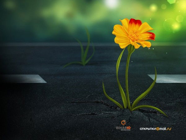 Татьяна Онуфрейчук