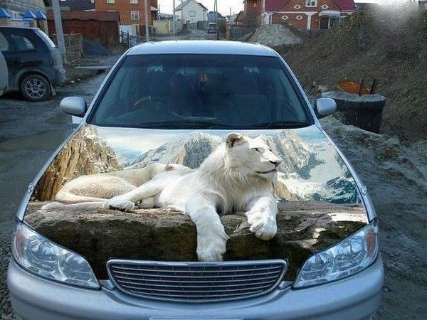 Никита Стрелец