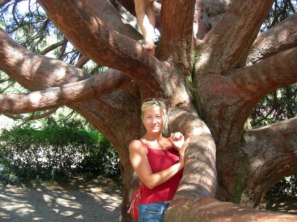 Наталья Дорохова