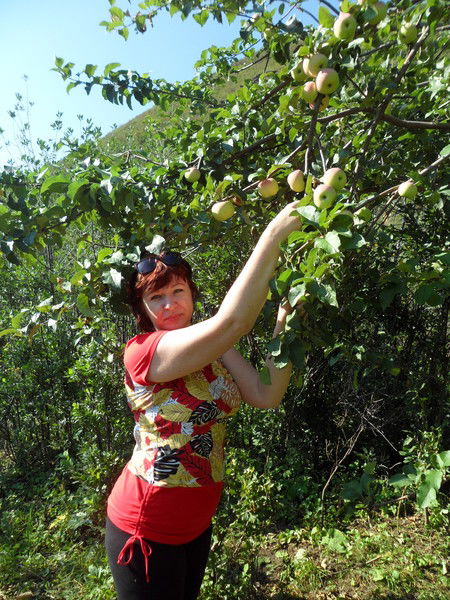 Татьяна Романова