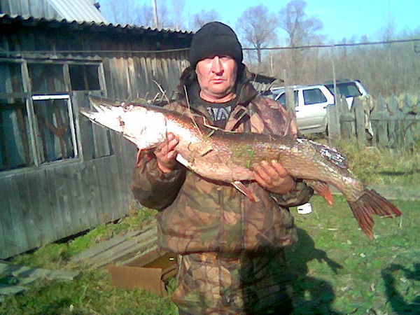 Виктор Ефременко