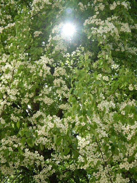 Сергей Попков