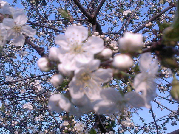 Вадим Корнаев