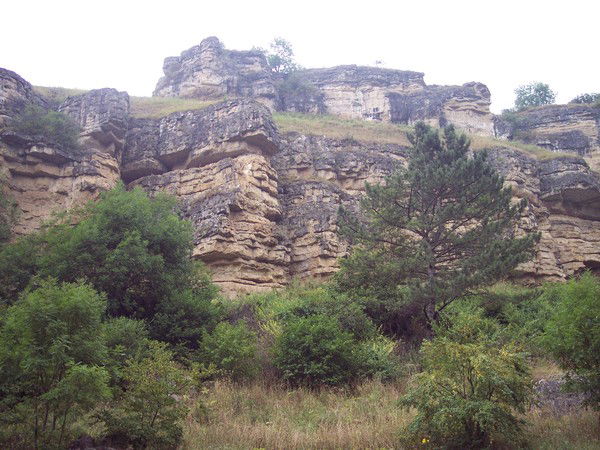 Лена Кошкина