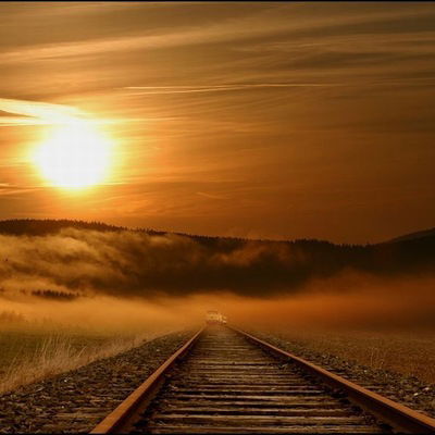 Фирдавс Усмонов