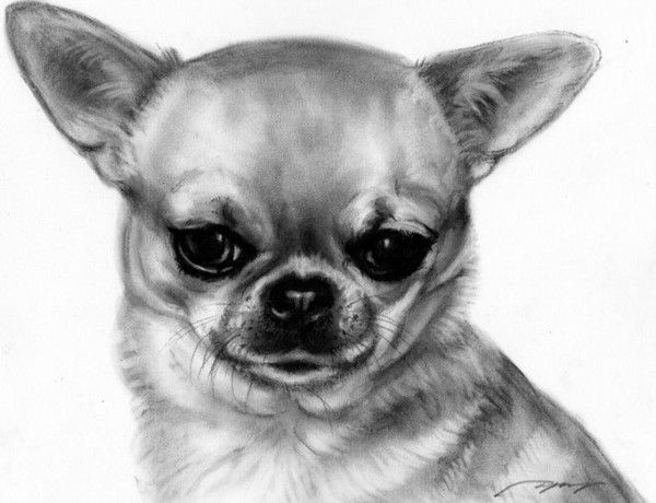 Оля Загаёнова