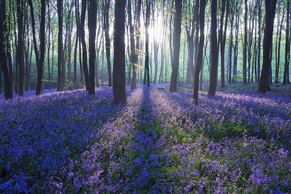 Галина Черкашина