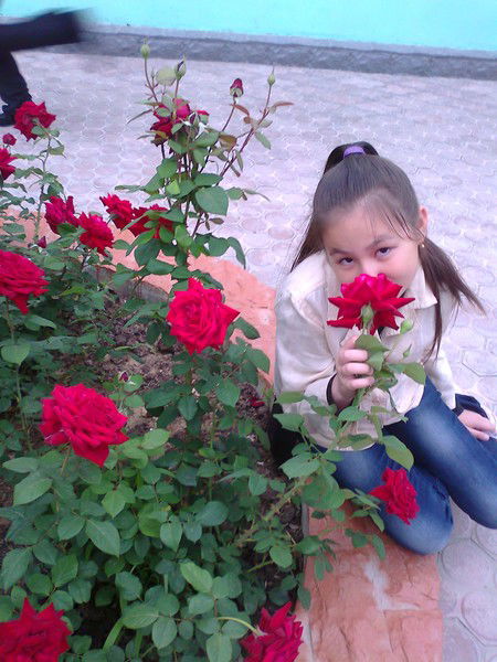 Mаdina_ _ Танирбергенова