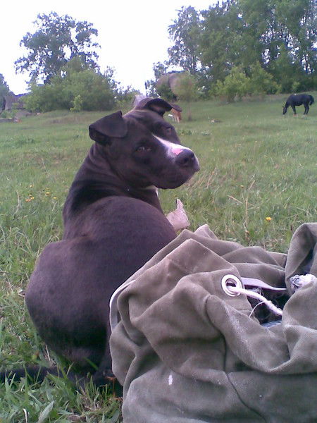 Наталья Порязова