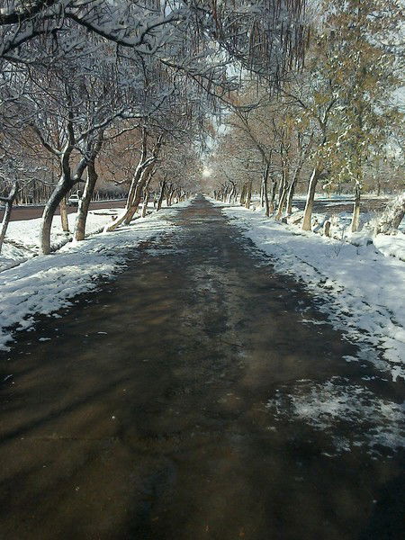 Марина Ручмакова