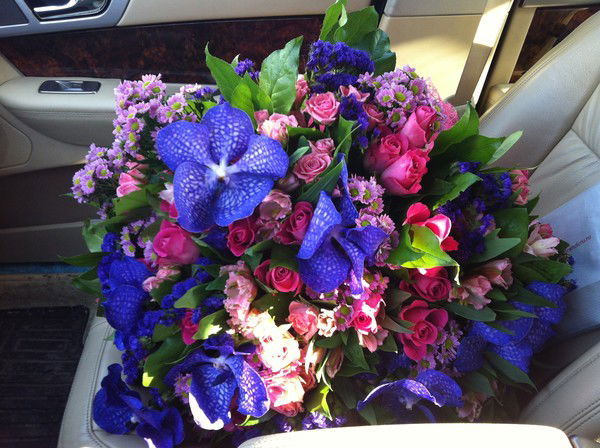 Елена Бобина