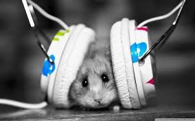 Dj Mouse