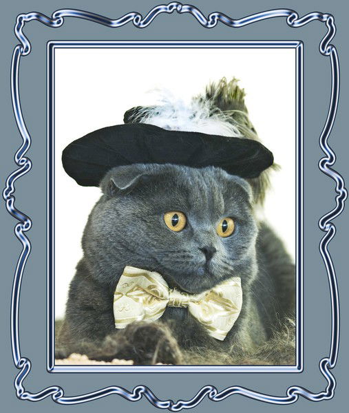 Татьяна Кузьмина