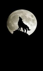 Рита Жданова