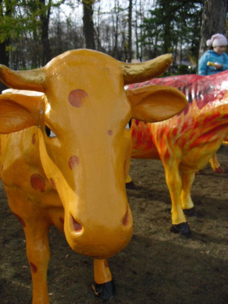 Юлия Владимирова