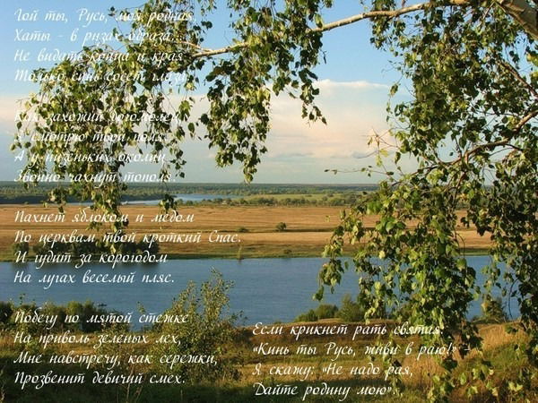 Елена Махнина