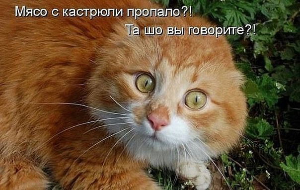 Владимир Викторович