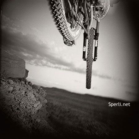 Николай Трофимов