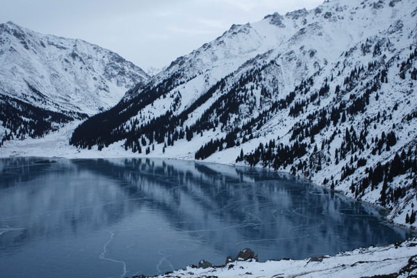 Салтанат Даутова