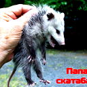 Ivan Ivanov