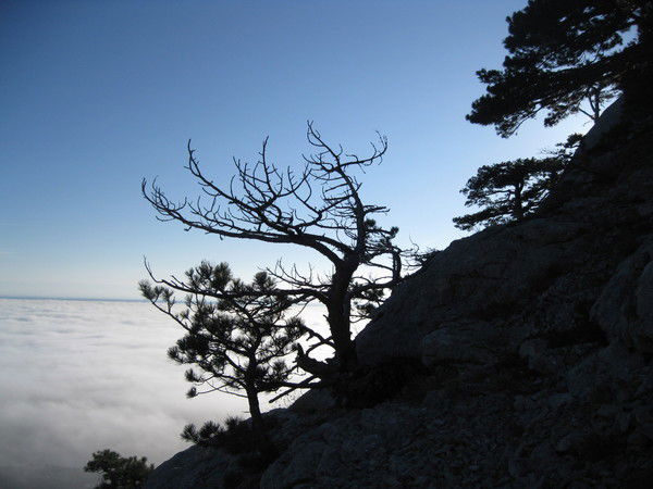 Оля Евсюкова