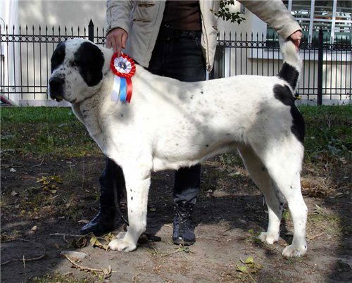 Ильдар Ишмурзин